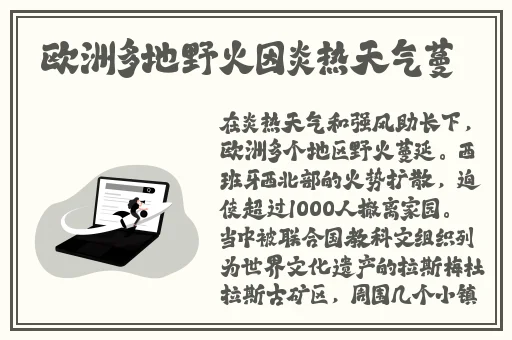 91精品国产综合久久久久久老师